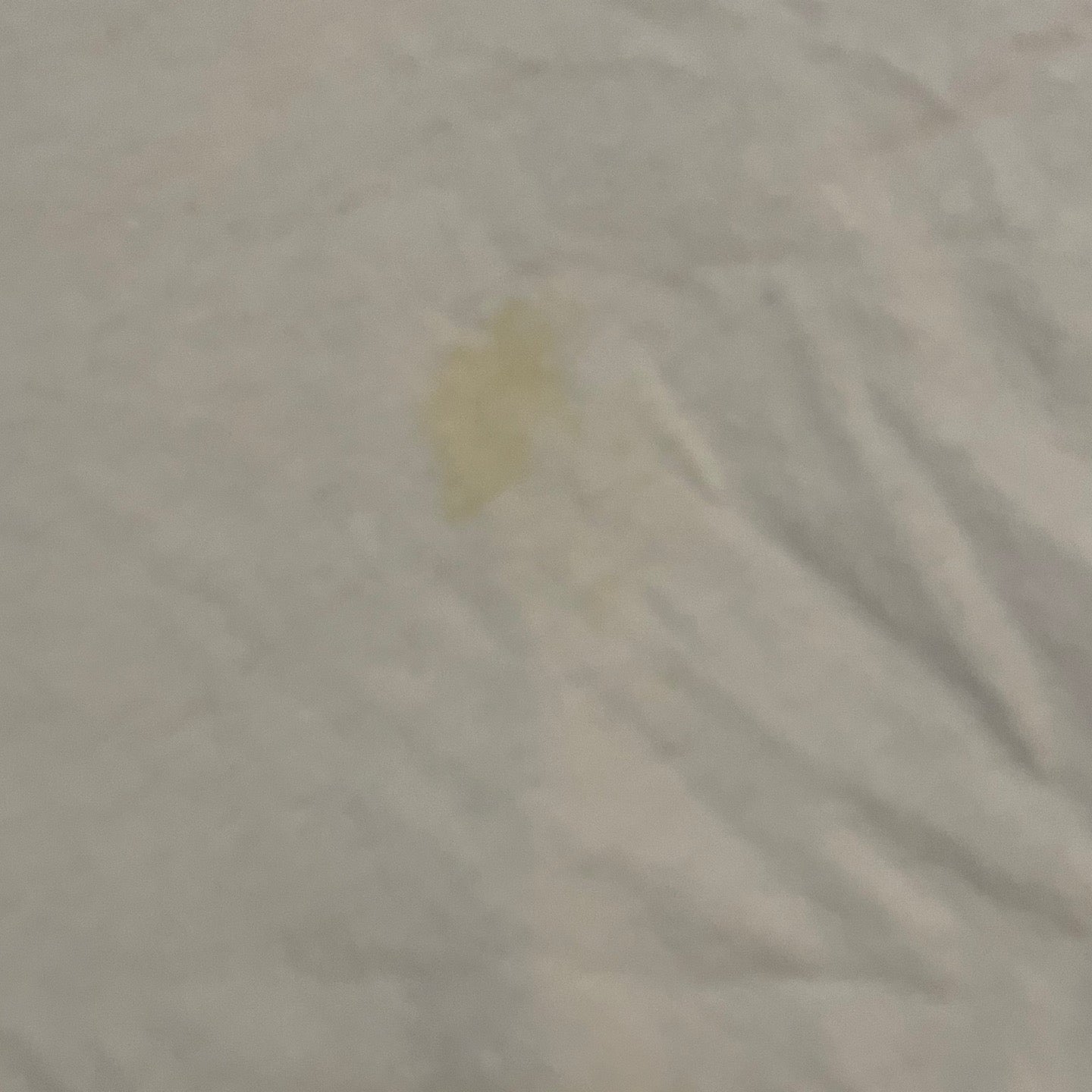 Adidas White and Blue Graphic Vintage T-Shirt