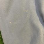 Light Blue Vintage North Carolina Champs Sweatpants Sportswear